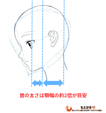 首の太さの注意点の図