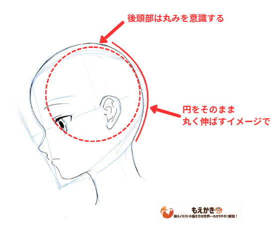 後頭部を描くときのポイントの図