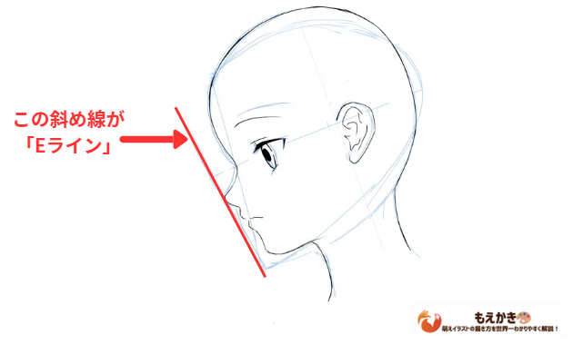 横顔のEラインの位置の図