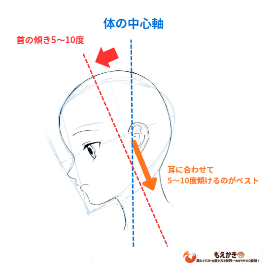 首を描くとのポイントの図