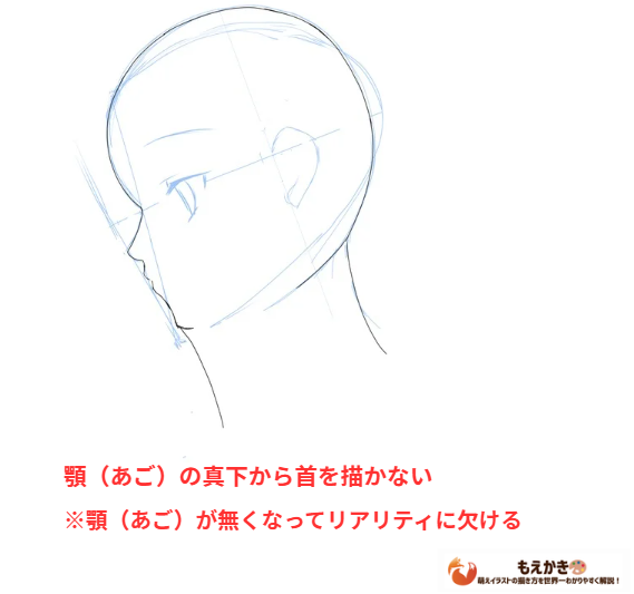 首を顎の下から描いた例の図