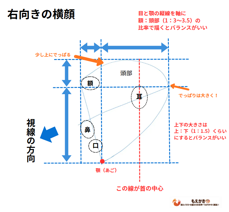 右向きの横顔の割合ロードマップ