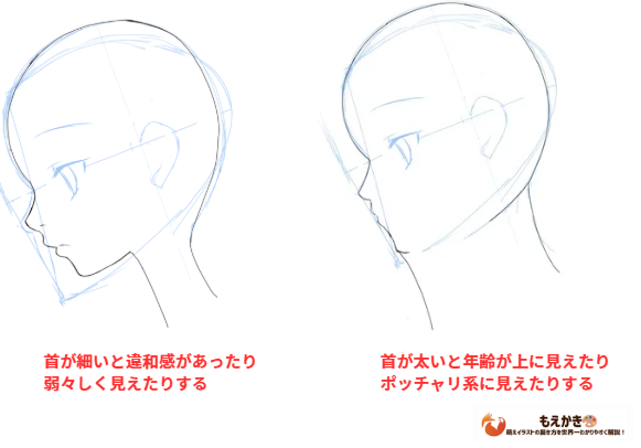 首の太さで見え方が変わる図