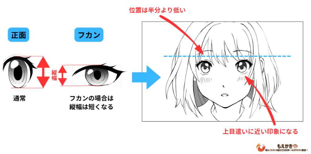 フカン顔の目の描き方
