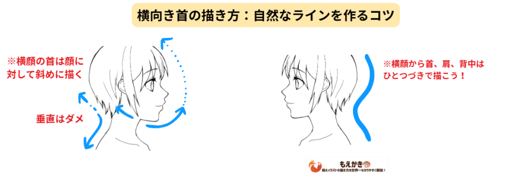 横向きの首の描き方のコツ