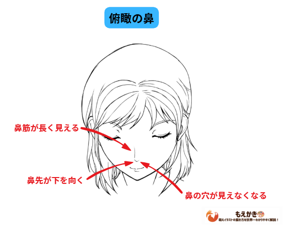 ふかん顔の鼻のイラスト描き方ポイント