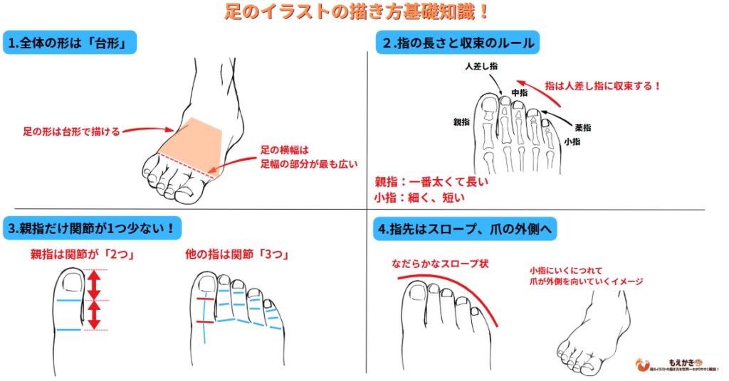 足のイラストを描く際の基礎知識一覧