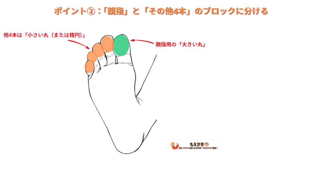 足の親指とその他はブロックに分けるポイント