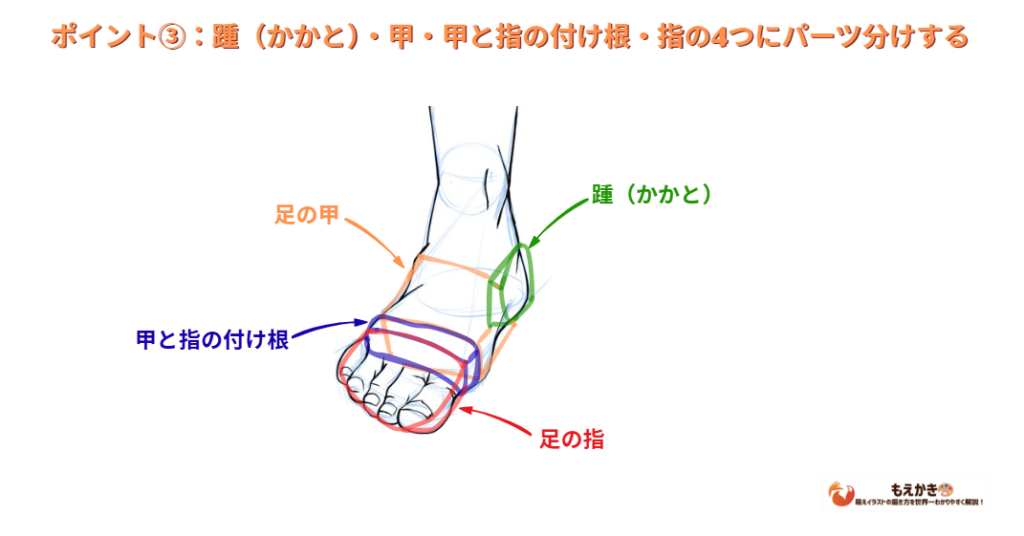 イラストで足を描く際は足を4つのパーツに分ける