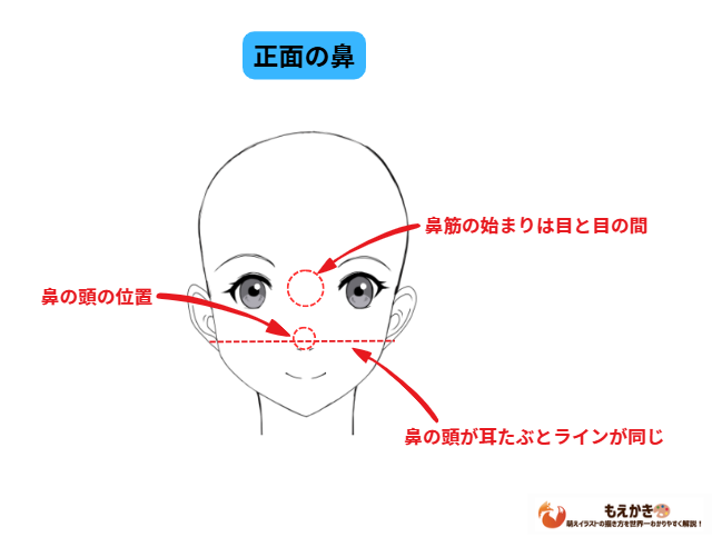 正面の鼻のイラスト描き方ポイント