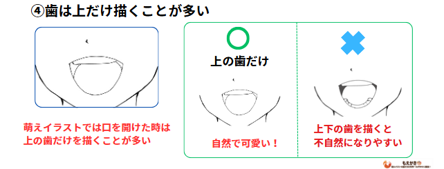 口のイラストの歯の入れ方のポイント