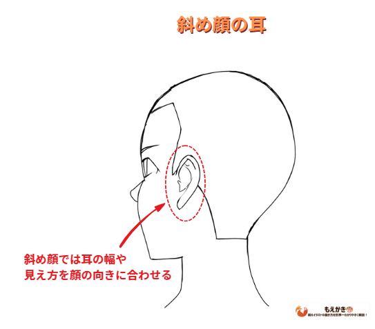 斜め顔の時の耳の見え方