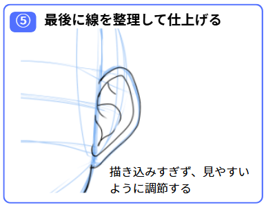 イラストで耳を描くステップその5