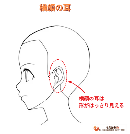 横顔の時の耳の見え方