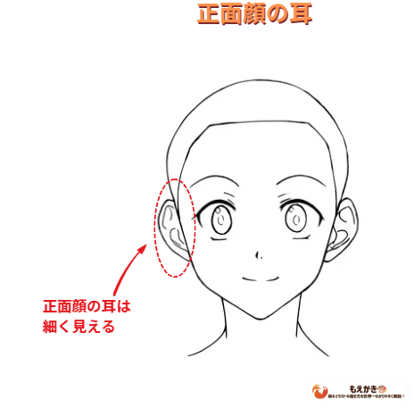 正面顔の時の耳の見え方