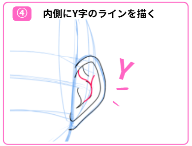 イラストで耳を描くステップその4