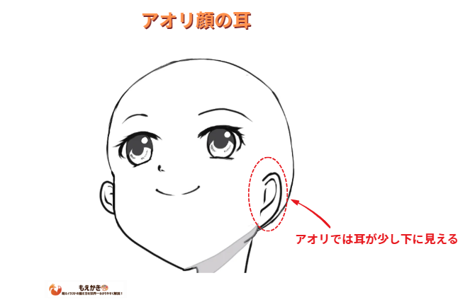 アオリ顔の時の耳の見え方